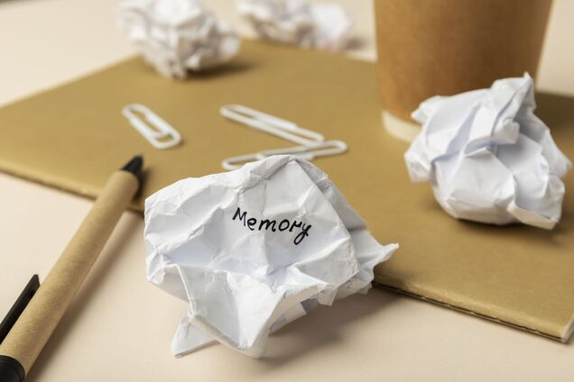 Ученые обнаружили клетки мозга, помогающие запоминать предметы