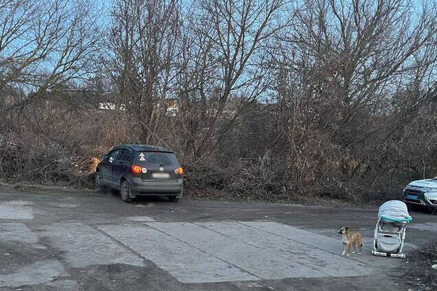 На Черкащині водійка збила жінку з дитиною у візку: мати хлопчика загинула на місці. Фото