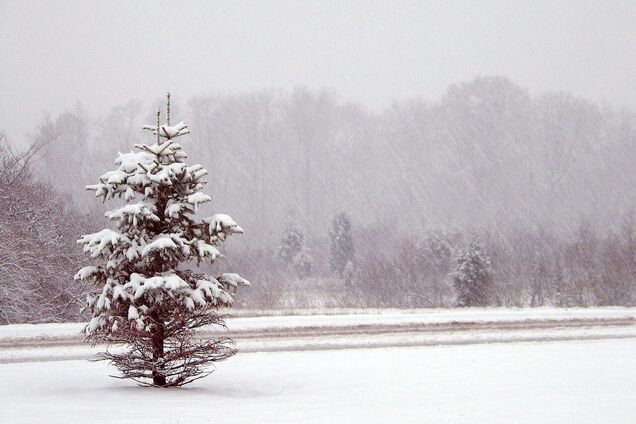 Вся страна – желтый уровень: синоптики предупредили об опасном погодном явлении в воскресенье, 16 февраля