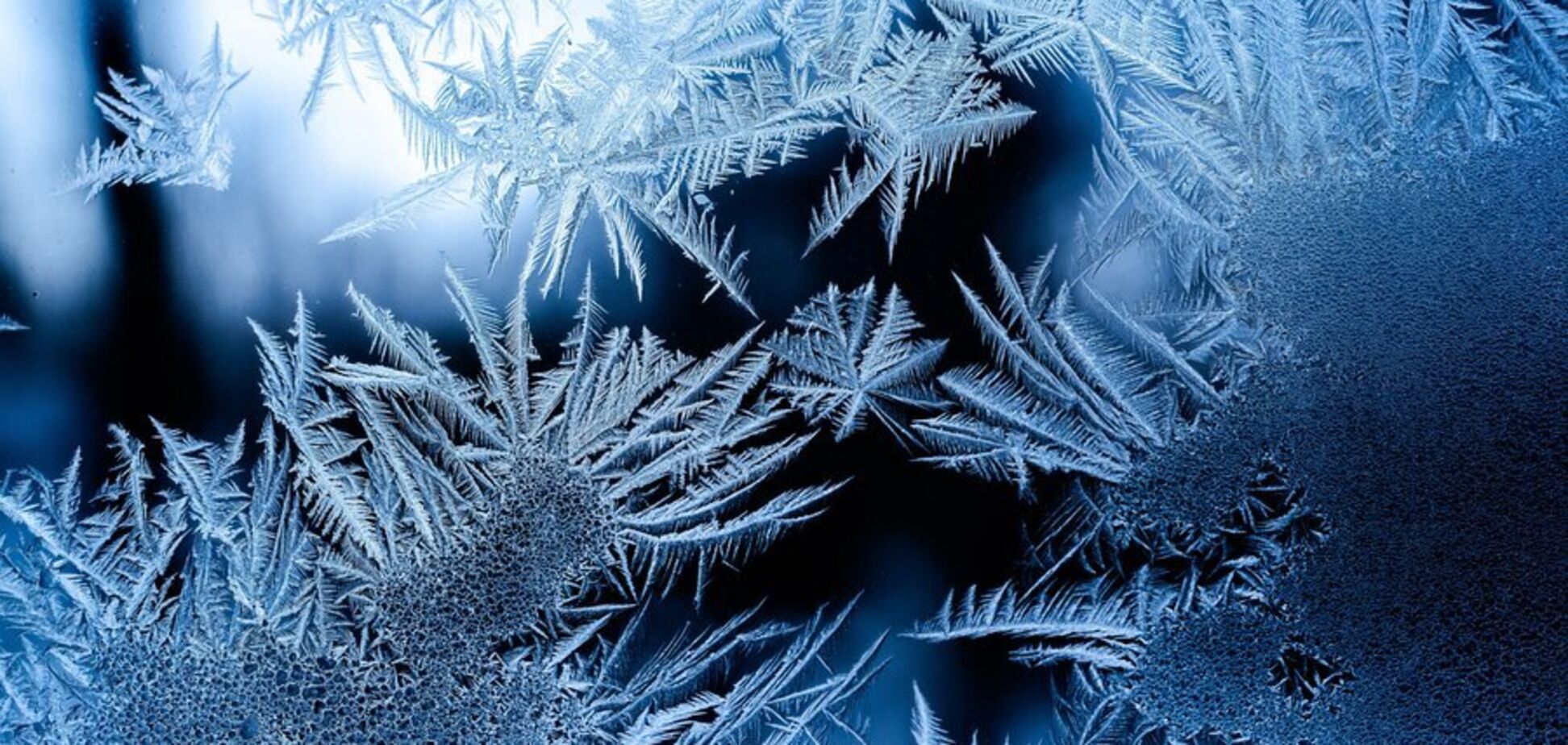 Ожидается до 20 градусов мороза: синоптики дали прогноз погоды на вторник, 18 февраля