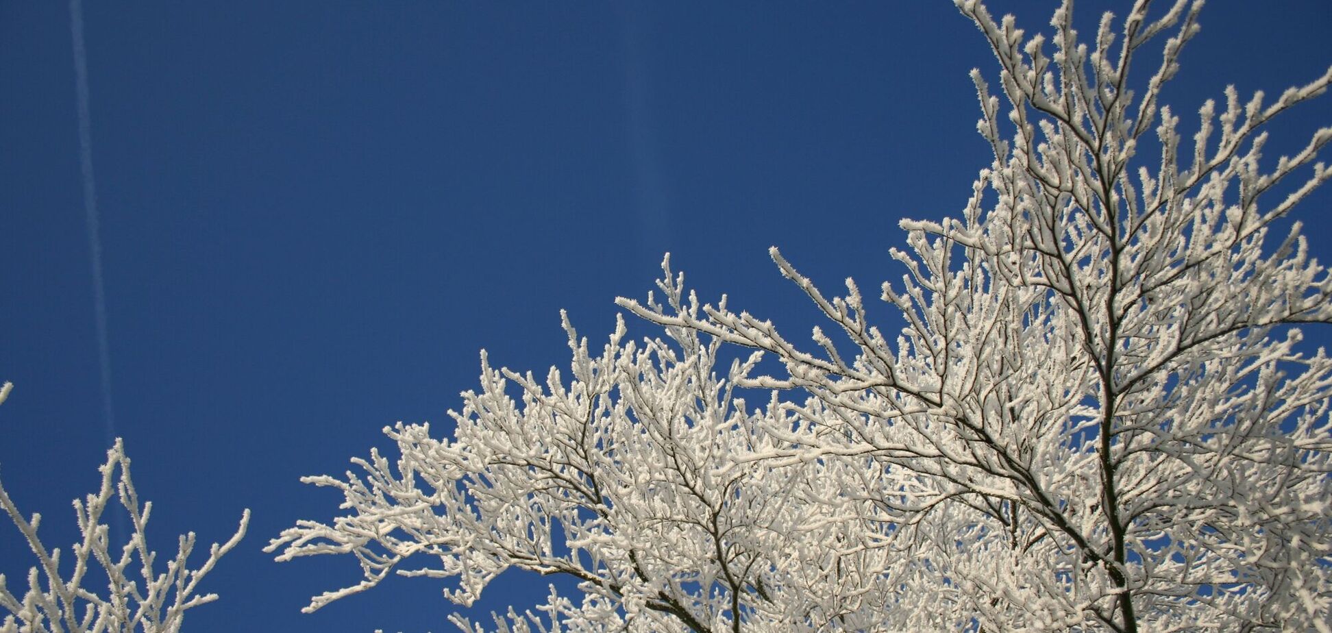 В Украине ударят морозы до -18 градусов, пойдет снег: где будет холоднее всего в начале недели. Карта