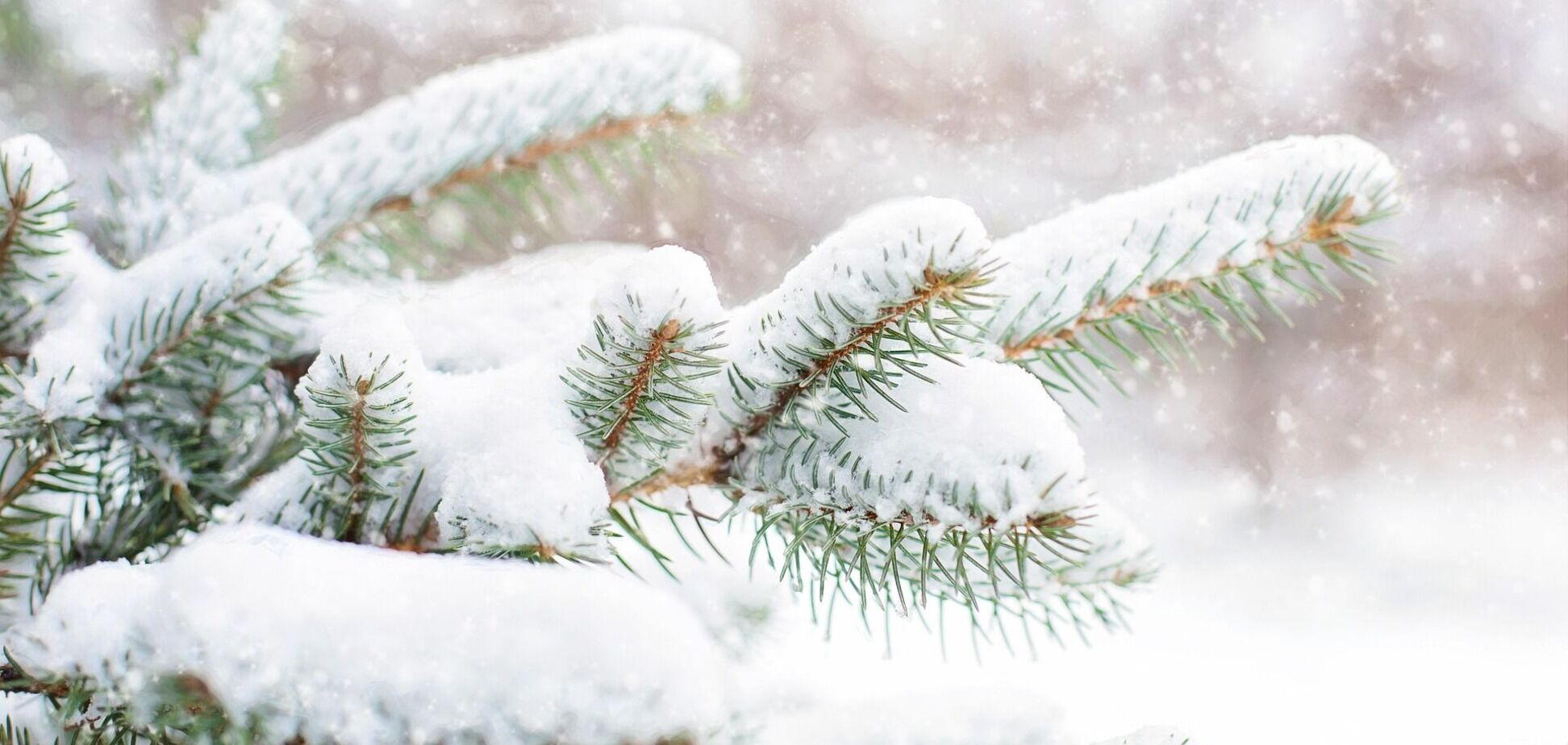 Морозы начнут отступать: синоптик рассказала, когда в Украину ворвется потепление