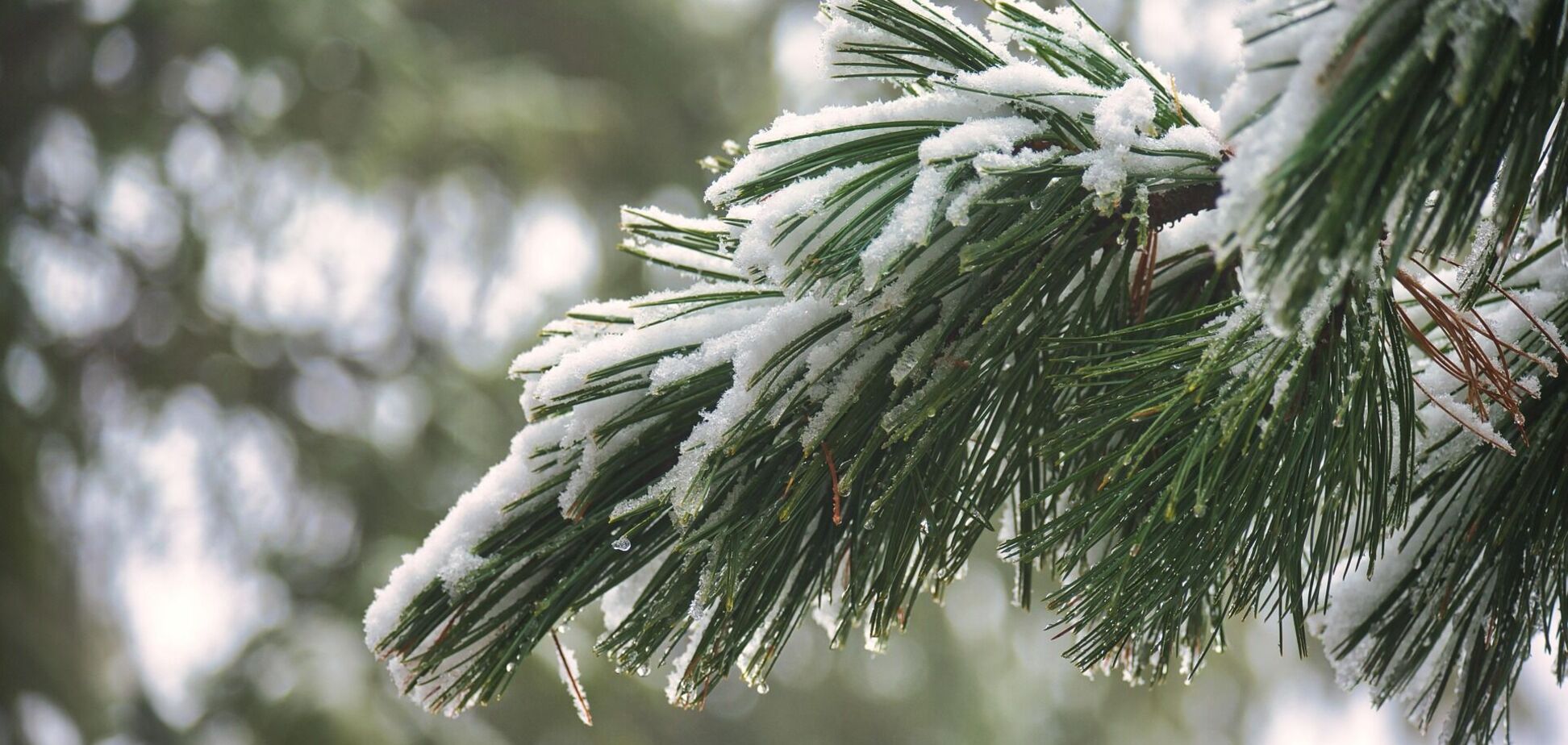 Похолодає ще більше: синоптики дали прогноз погоди на середу, 19 лютого