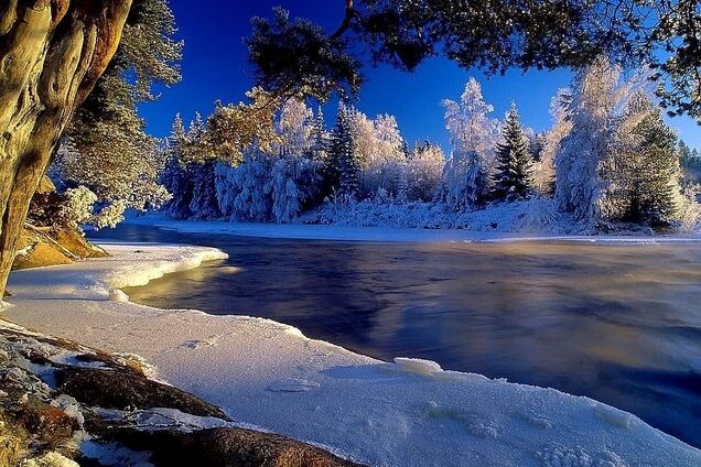 В Україну йде повноцінна весна: синоптики дали прогноз погоди на п'ятницю, 7 березня