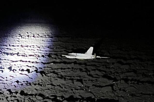 На Сумщині прикордонники збили ворожу 'Герберу': фото