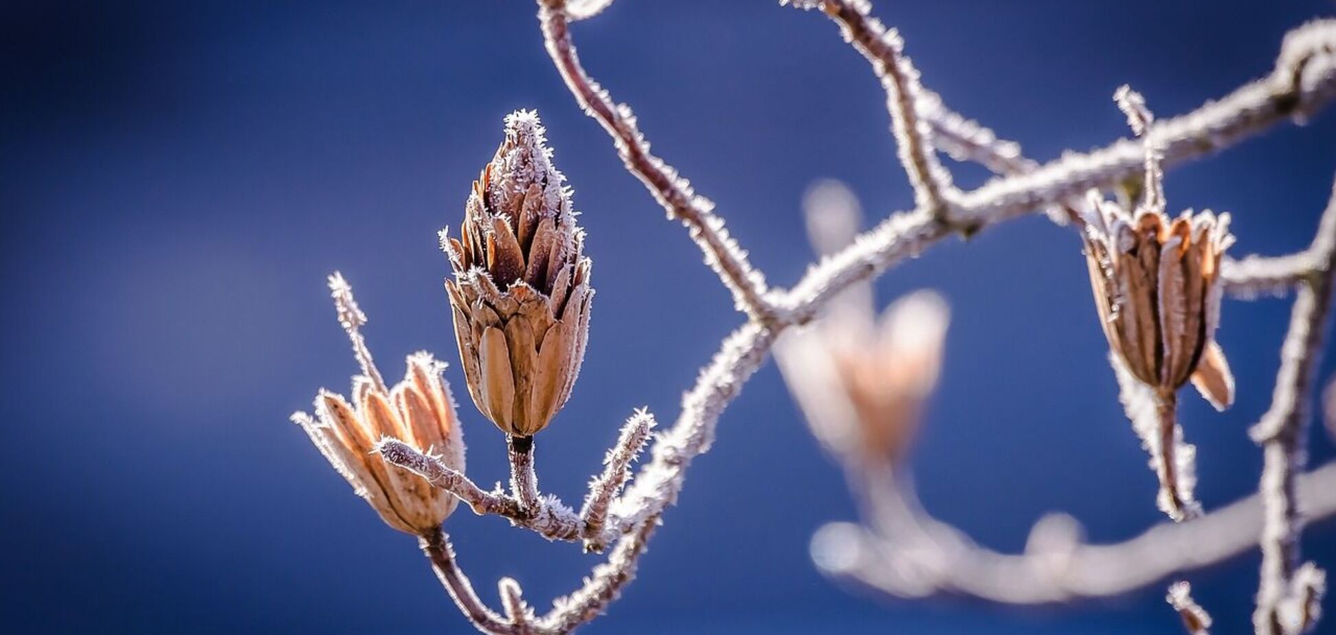 Прощатись із зимою поки не варто: метеорологиня розповіла, якою буде погода у лютому і на початку весни