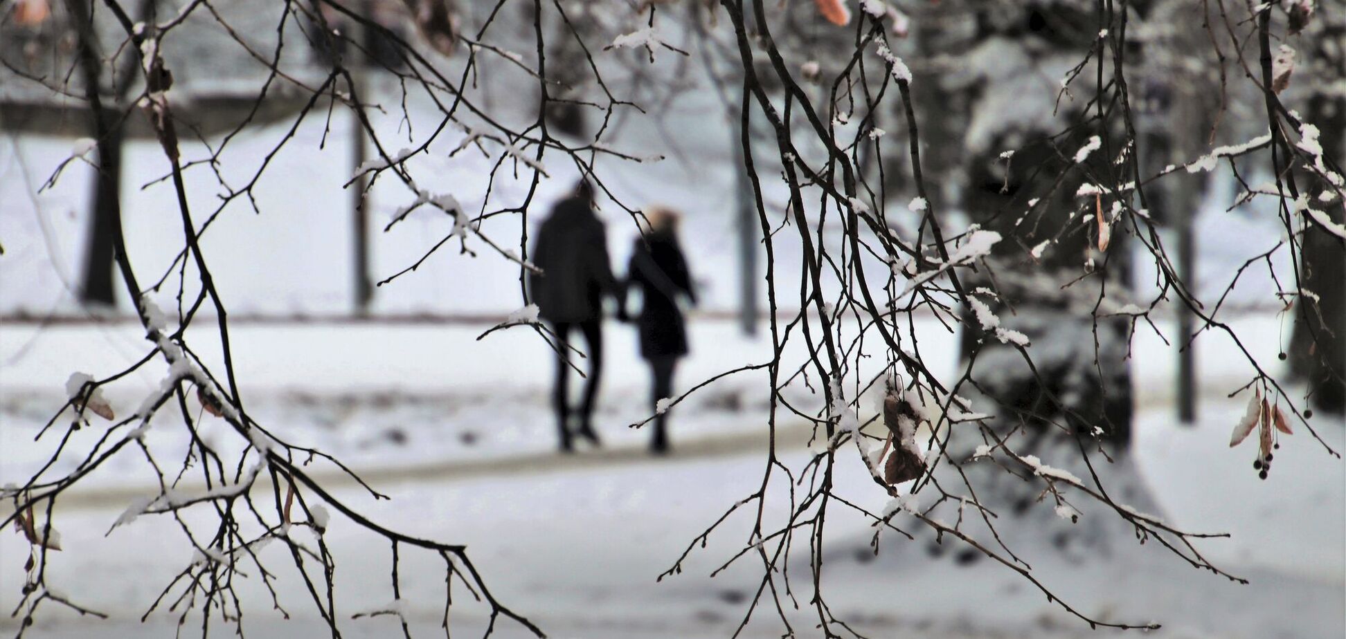 В Украину с понедельника вернутся морозы и снег: синоптик дала прогноз