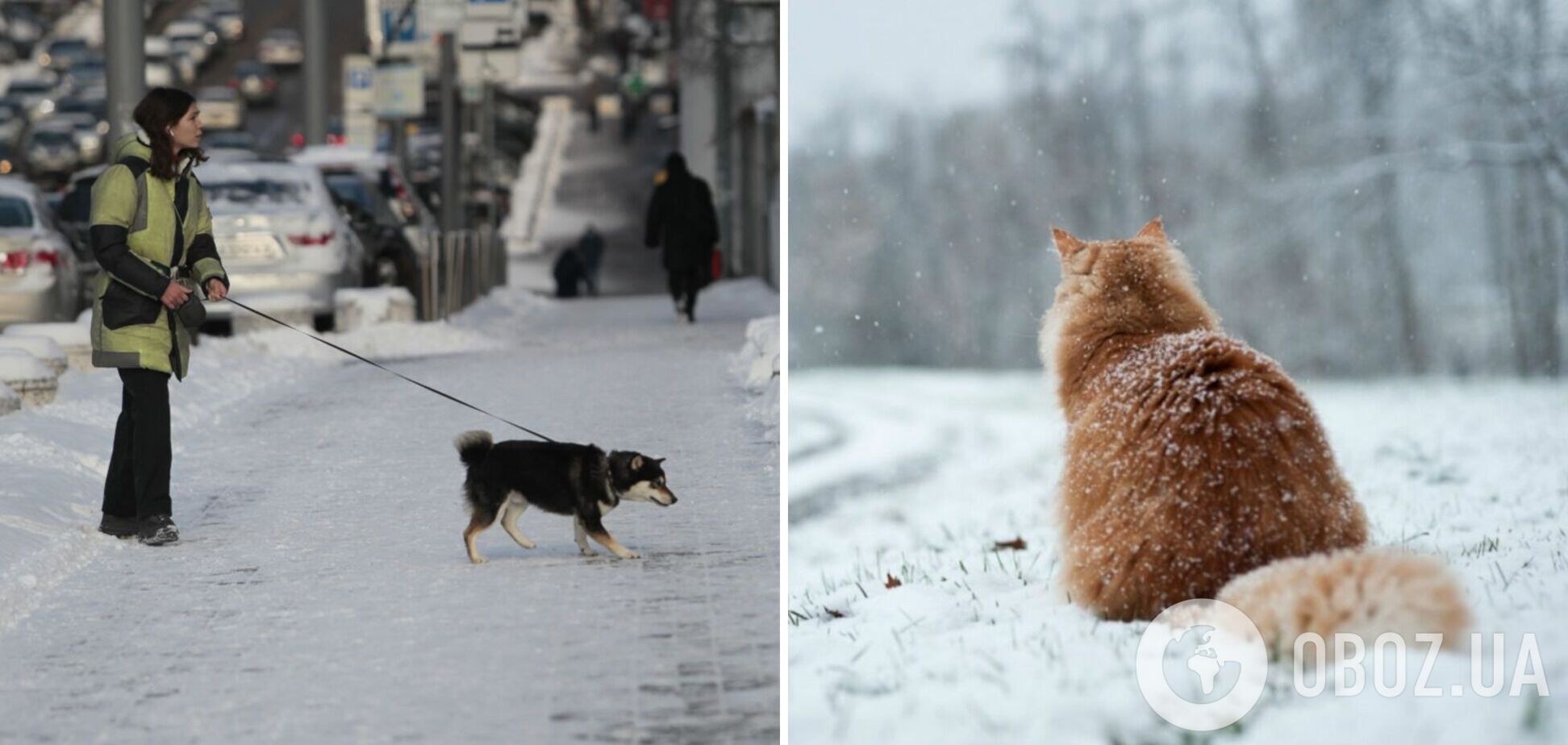 Местами снегопад и незначительное потепление: синоптики дали прогноз погоды на четверг, 20 февраля