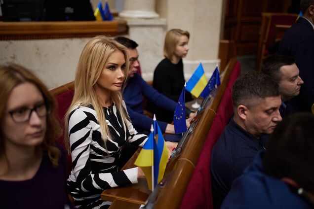 Ирина Кормышкина Аллахвердиева – заявление о сложении депутатских полномочий – корабельная сосна – незаконное обогащение на 20 млн грн