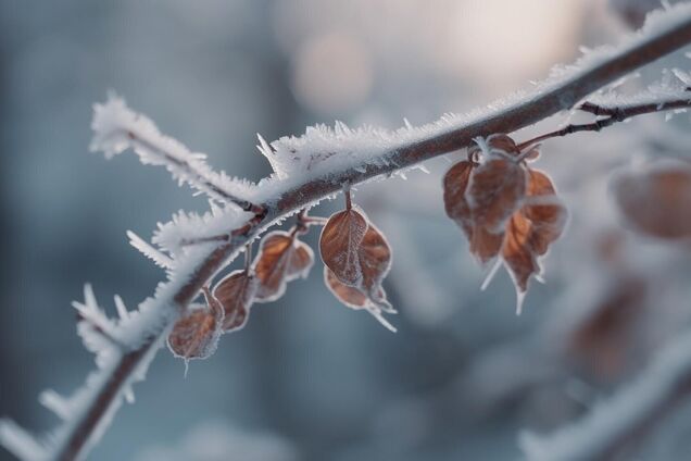 В одному регіоні можливе потепління: синоптики дали прогноз погоди на суботу, 22 лютого