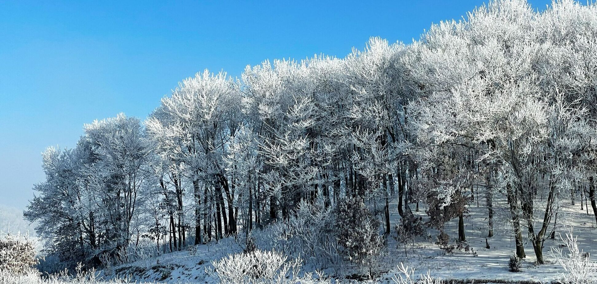Морозы еще задержатся: синоптик рассказала, какой будет погода в Украине с понедельника