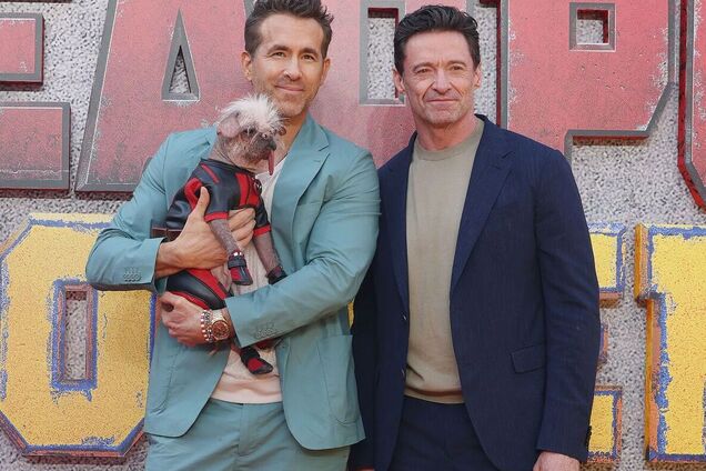 У Великій Британії відбувся 'собачий Оскар': який вигляд мають найкращі хвостаті актори. Фото