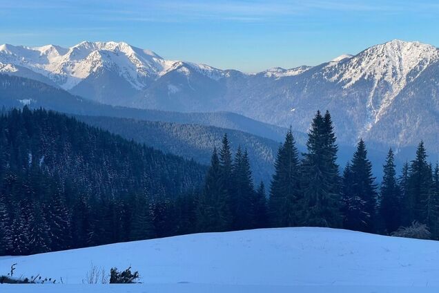 Переодевание в карете скорой помощи, гадание на Таро и отмороженные конечности. Рассказ пограничника о попытках уклонистов незаконно перейти горы и Тису