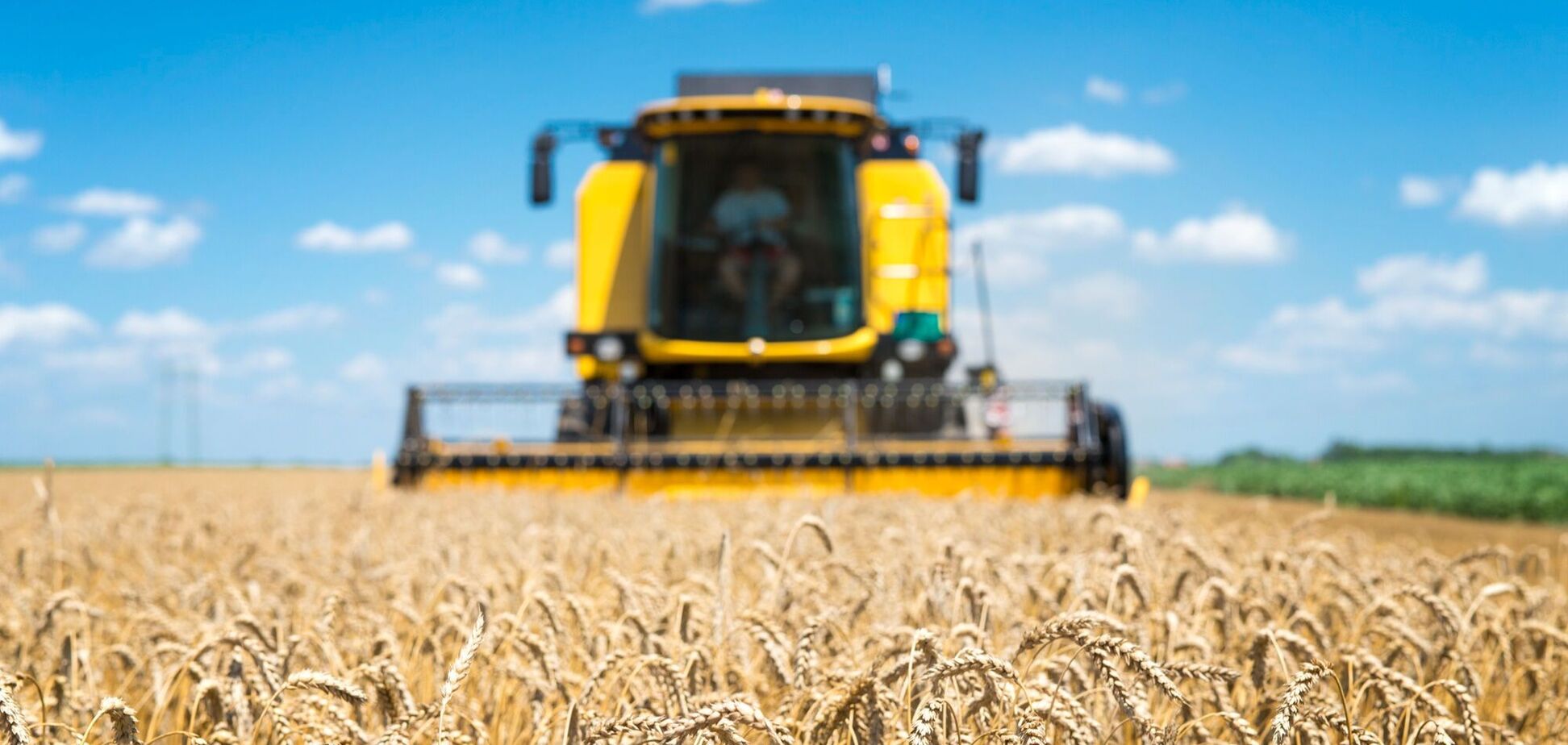 Ілюстрація - збір пшениці комбайном
