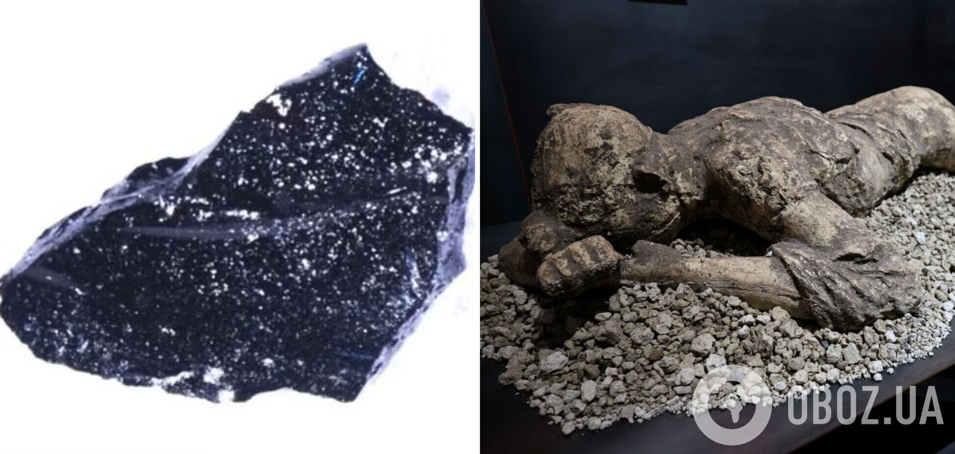 Мозок перетворився на скло: в черепі жертви виверження Везувію знайшли унікальні осколки