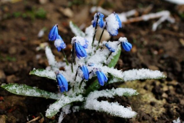 От мокрого снега до 18 градусов тепла: синоптики дали прогноз погоды на воскресенье