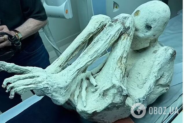 Ученые, исследующие 'мумии инопланетян' в Перу, ошеломили заявлением: это на 100% настоящие биологические организмы