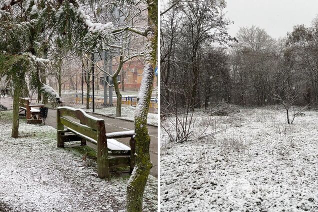 В Україну прийшло похолодання, у низці областей пішов сніг. Фото і відео