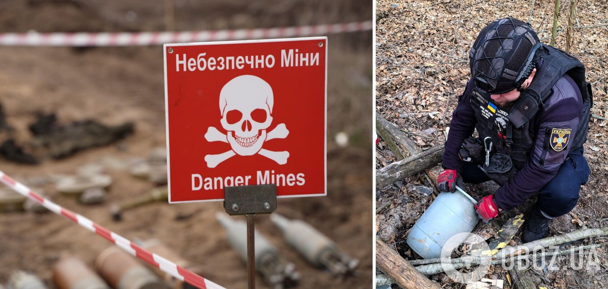 На Київщині лісник знайшов бойову частину 'Шахеда'. Подробиці та фото