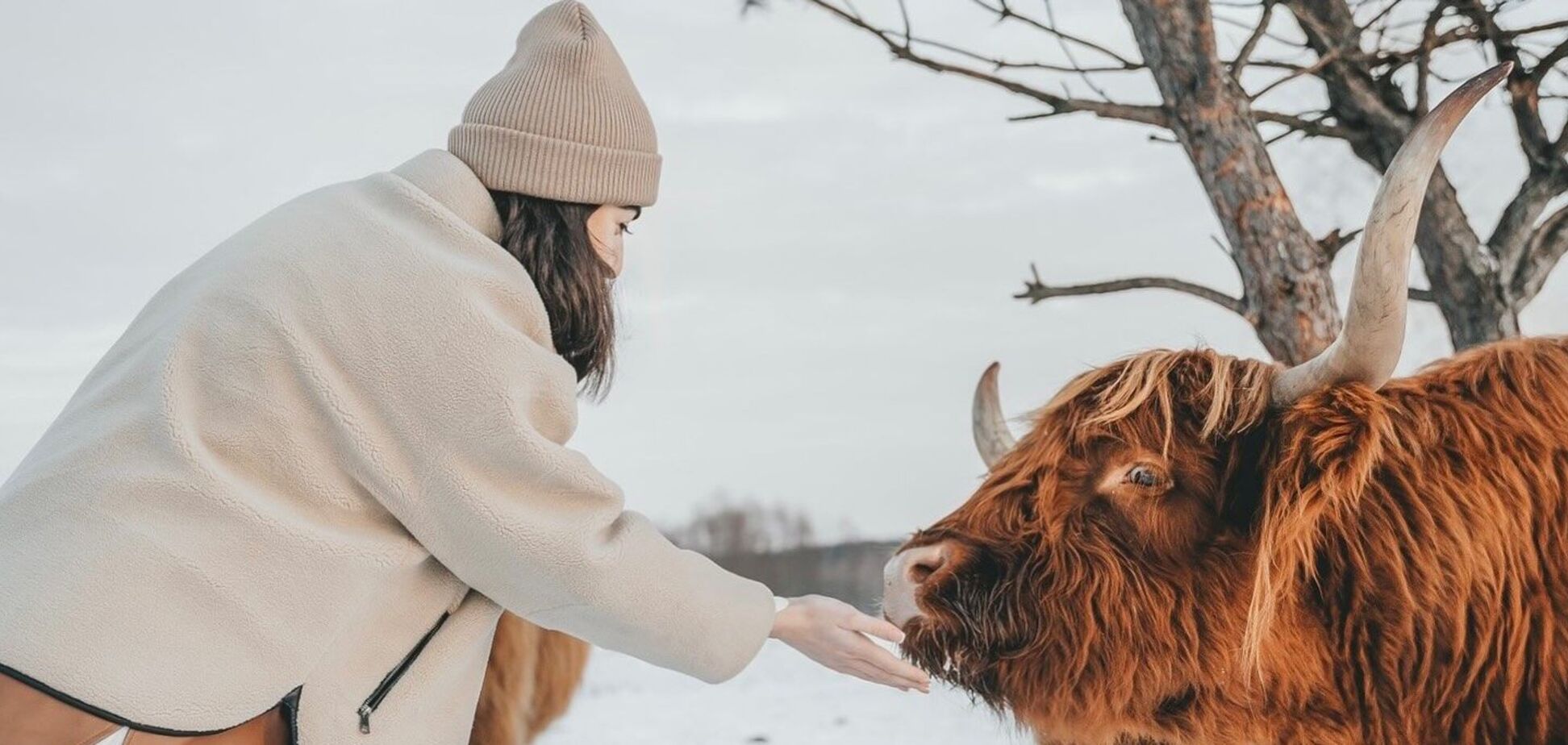 Парки з тваринами в Україні