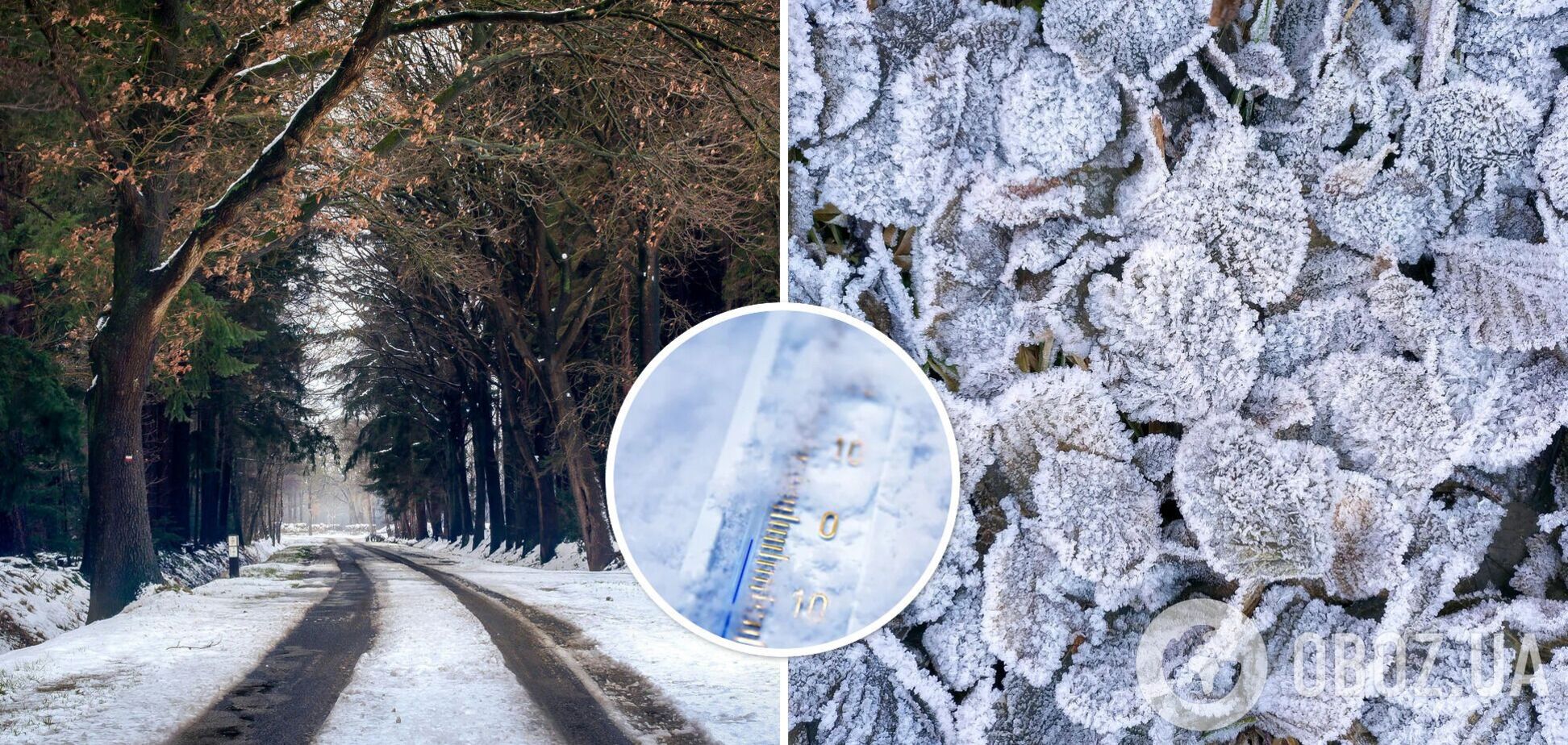 Погода в Україні в лютому 2025 – прогноз синоптика Птухи, коли і де будуть сильні морози