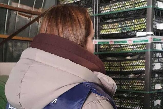 В Киев чуть не попала почти тонна овощей с нитратами