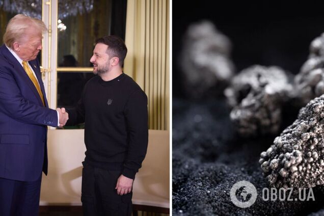 'История мировой дипломатии начиналась с таких соглашений': эксперт объяснил, почему не стоит искать 'зраду' в предложении Трампа о редкоземельных металлах