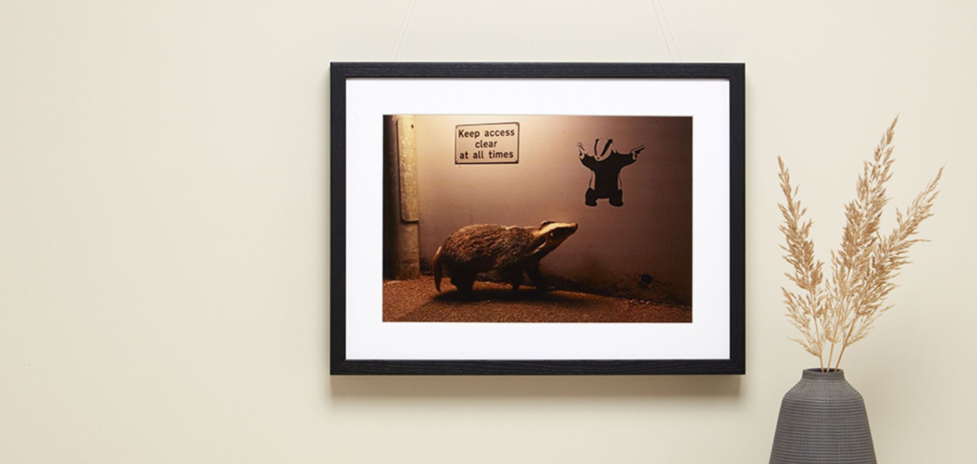 Найкращі фото дикої природи у 2024 році: борсук, який дивиться на графіті борсука, підкорив усіх