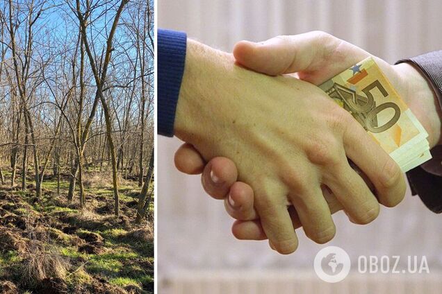 Керівника Південного міжрегіонального управління лісового та мисливського господарства спіймали на хабарі