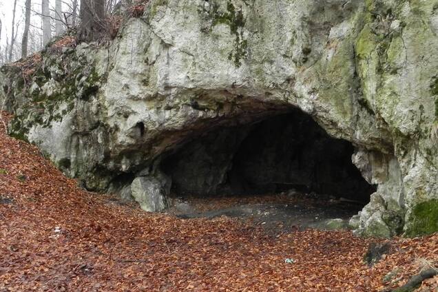 В пещере в Польше нашли доказательства каннибализма 18 000 лет назад. Фото