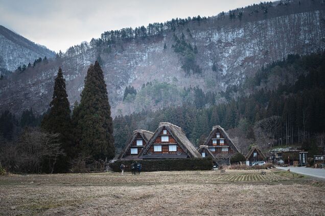 В Карпатах строят SPA-курорт с домиками и с видом на Говерлу: каким он буде