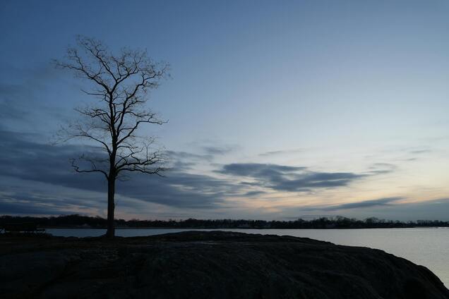 Як тепла зима вплине на погоду навесні та влітку в Україні: прогноз