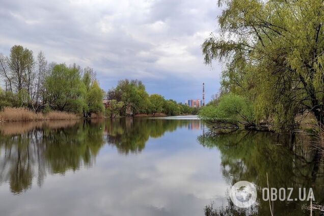 В Киеве 10 марта зафиксировали очередной температурный рекорд: известны подробности