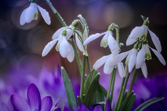 На выходные в Украине кардинально поменяется погода: в Гидрометцентре озвучили подробный прогноз