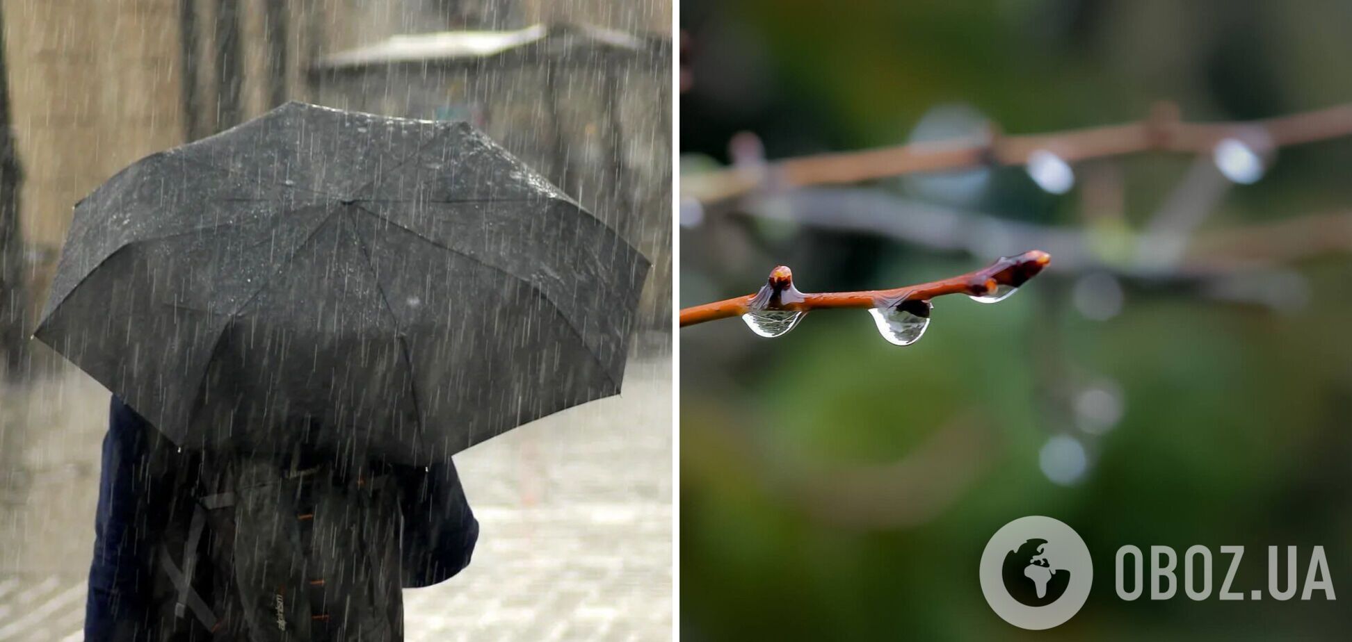 Местами дождь и незначительное похолодание: синоптики дали прогноз погоды на среду, 12 марта