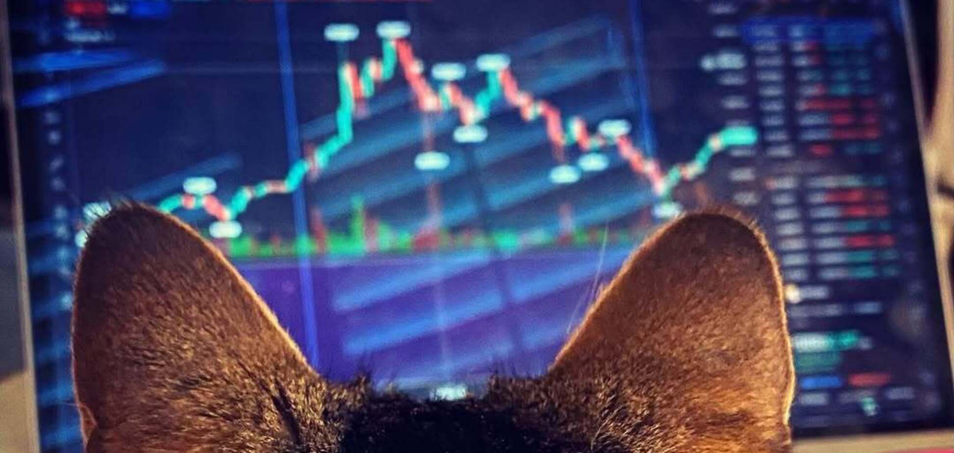 Почему падают акции игорных компаний