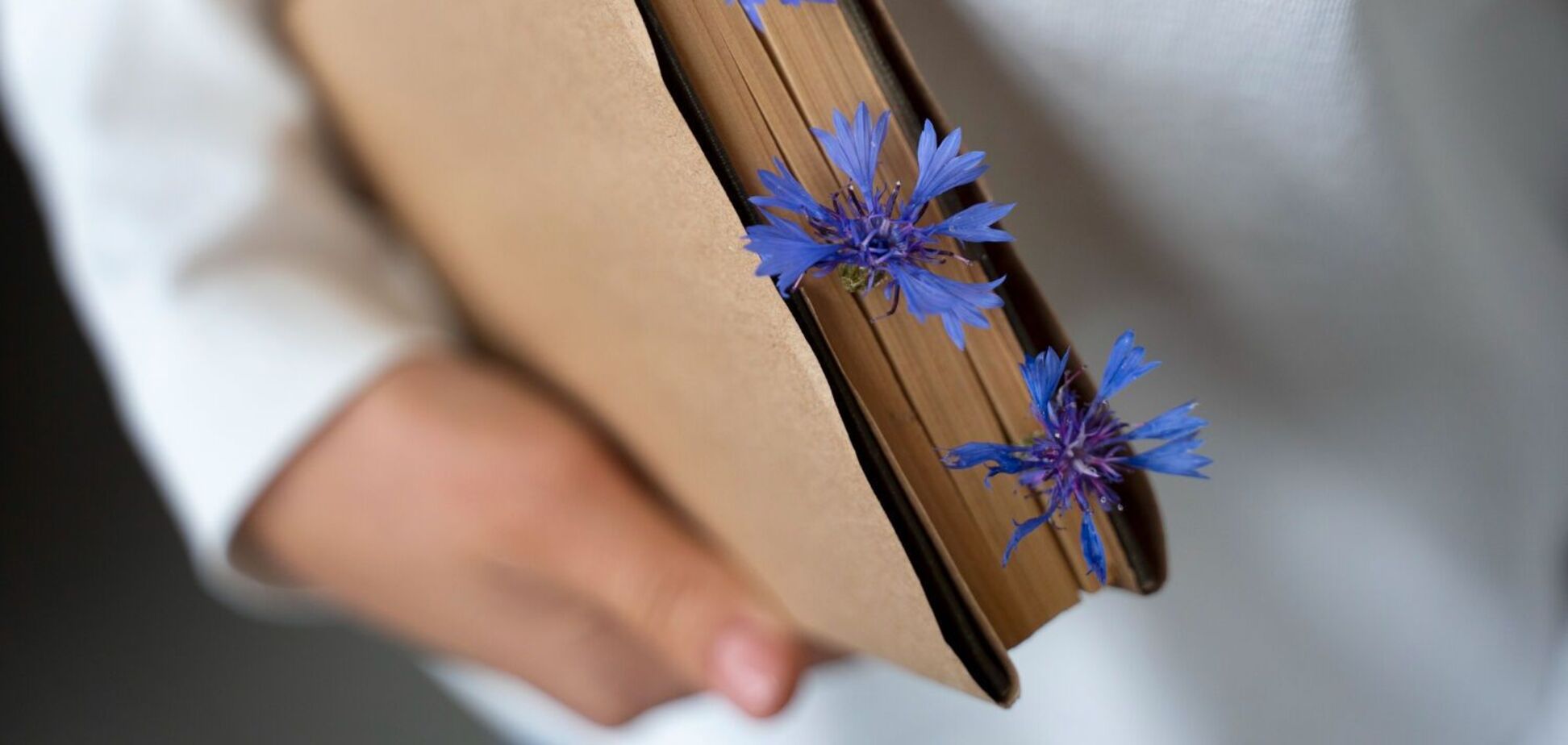 Значение меняется: как правильно ставить ударение в слове 'вигода'