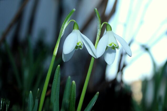 Возвращается потепление до 12 градусов, но не повсюду: синоптики дали прогноз погоды на четверг