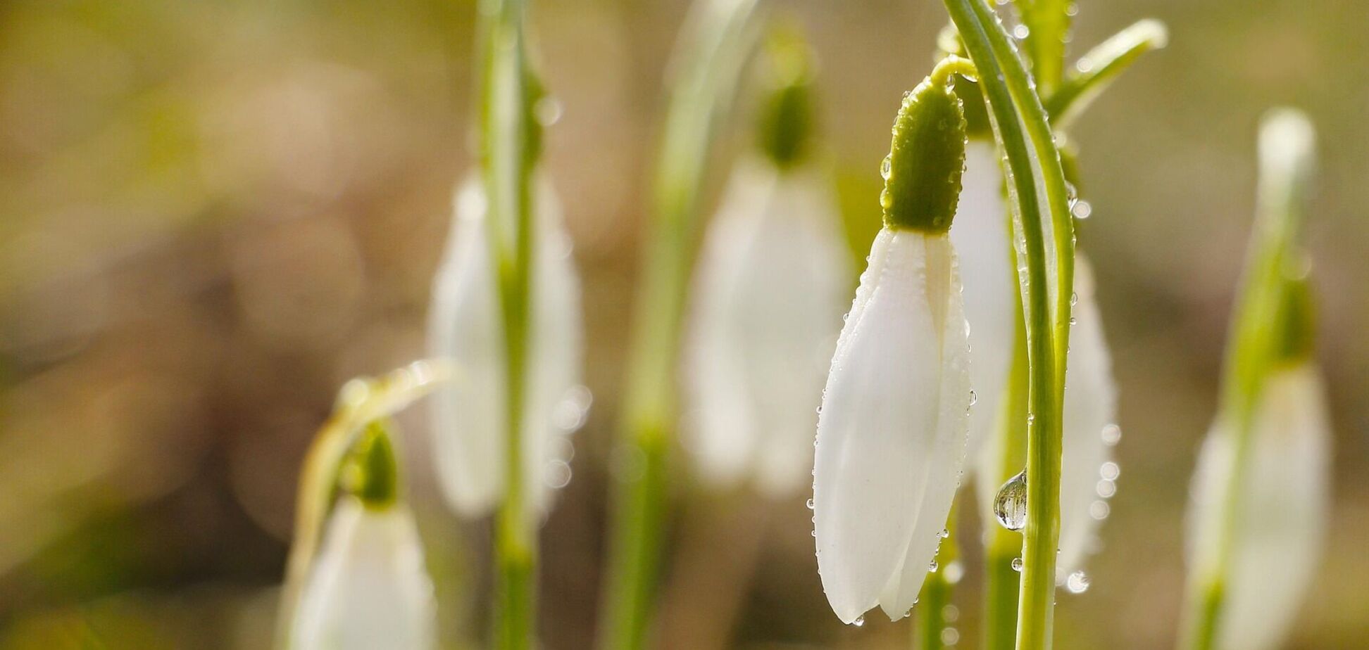 До выходных погода в Украине будет 'летней': синоптик рассказала, где ожидать дождей