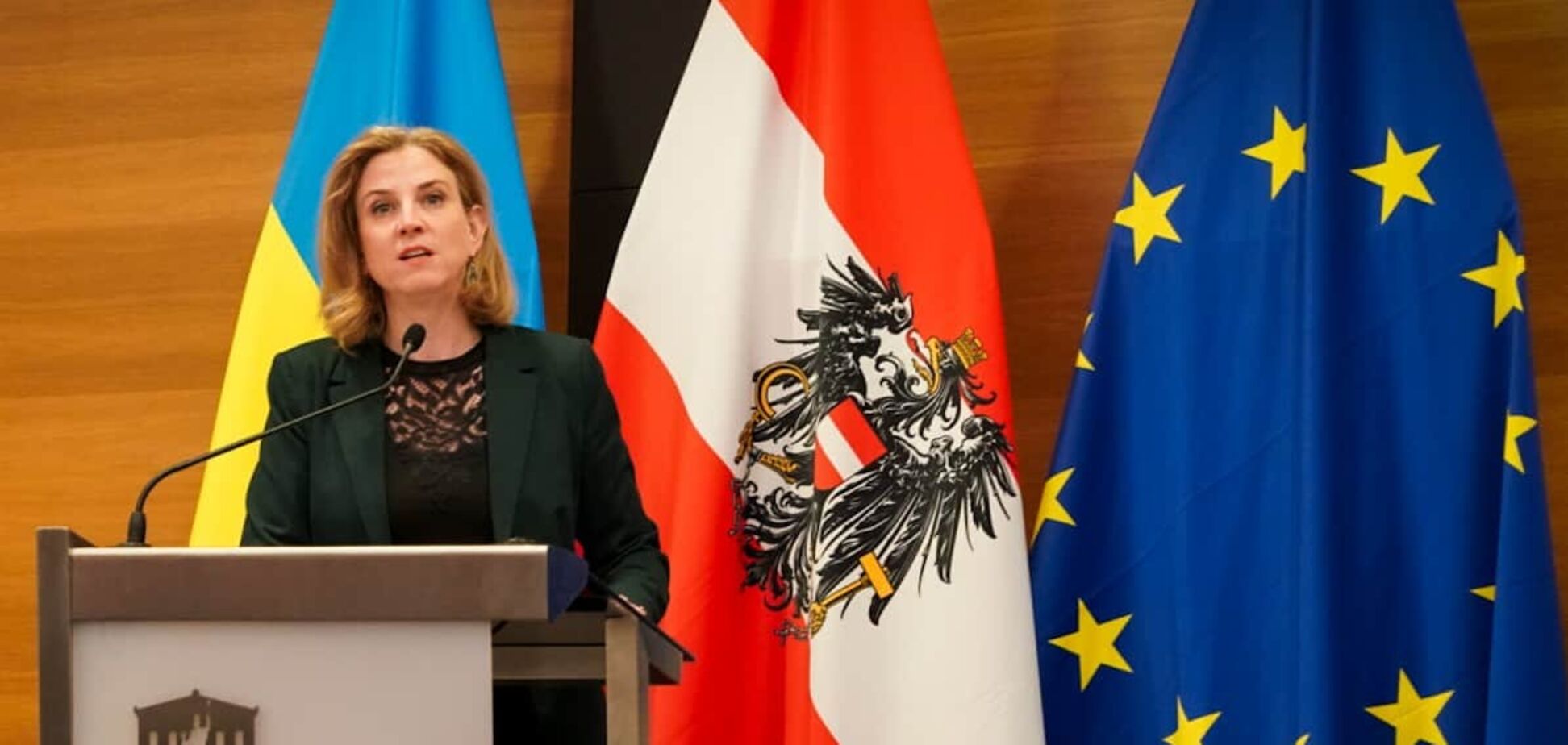 'Необходимо использовать все возможности': в Австрии призвали к усилению давления на Россию ради мира в Украине