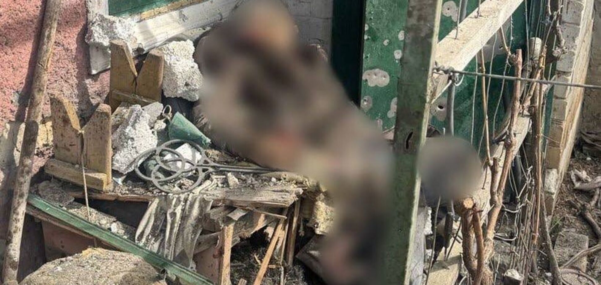 На Херсонщині дрон з вибухівкою влучив у подвір’я: жінка разом із собакою загинули