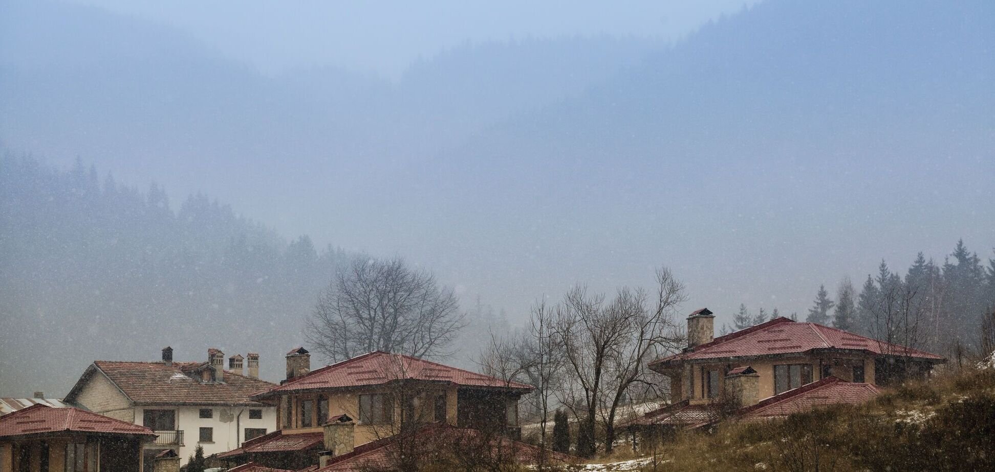 'Весна возьмет все в свои руки': синоптик рассказала, когда в Украину придет потепление