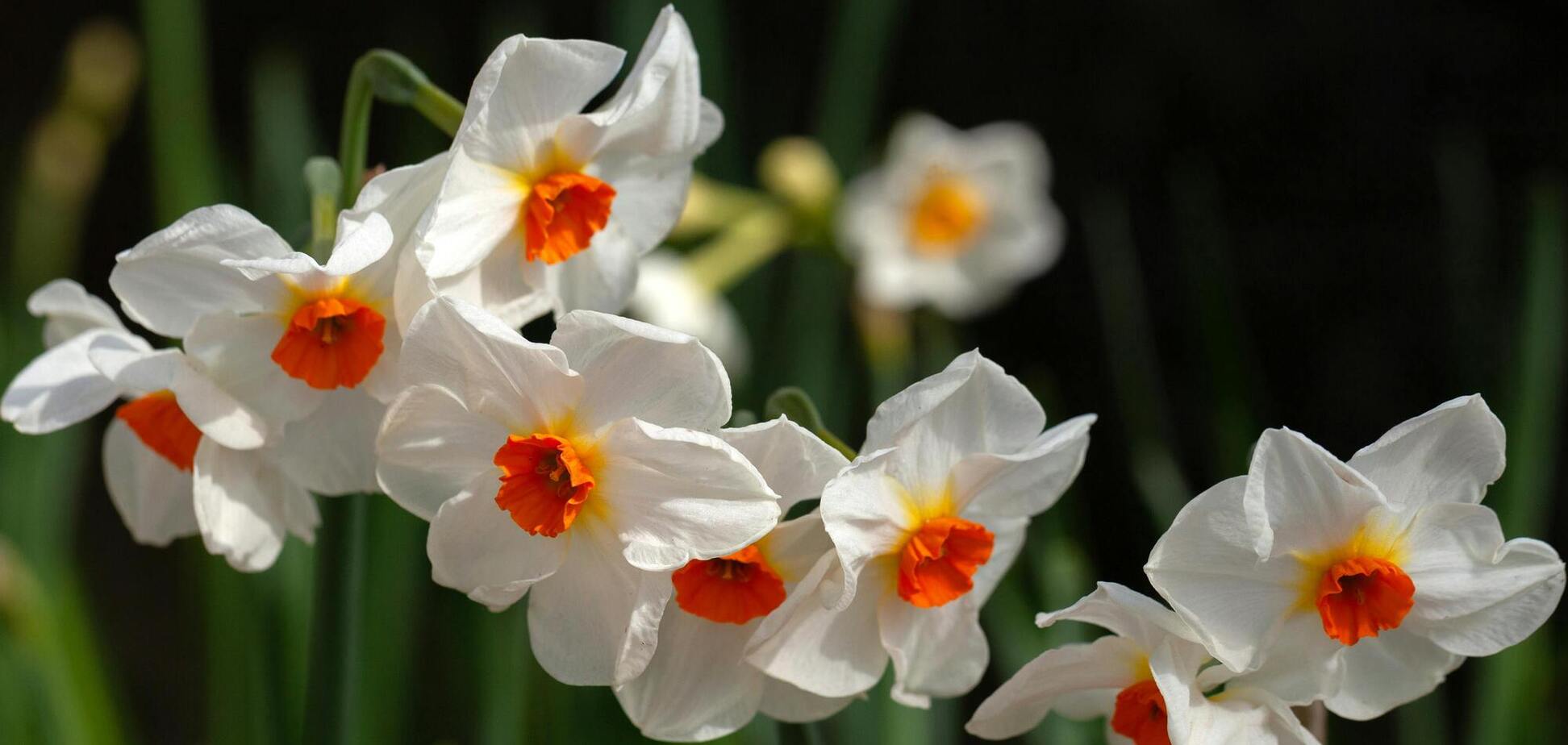 В Украине начнется потепление: синоптик назвала дату и озвучила подробный прогноз. Карта