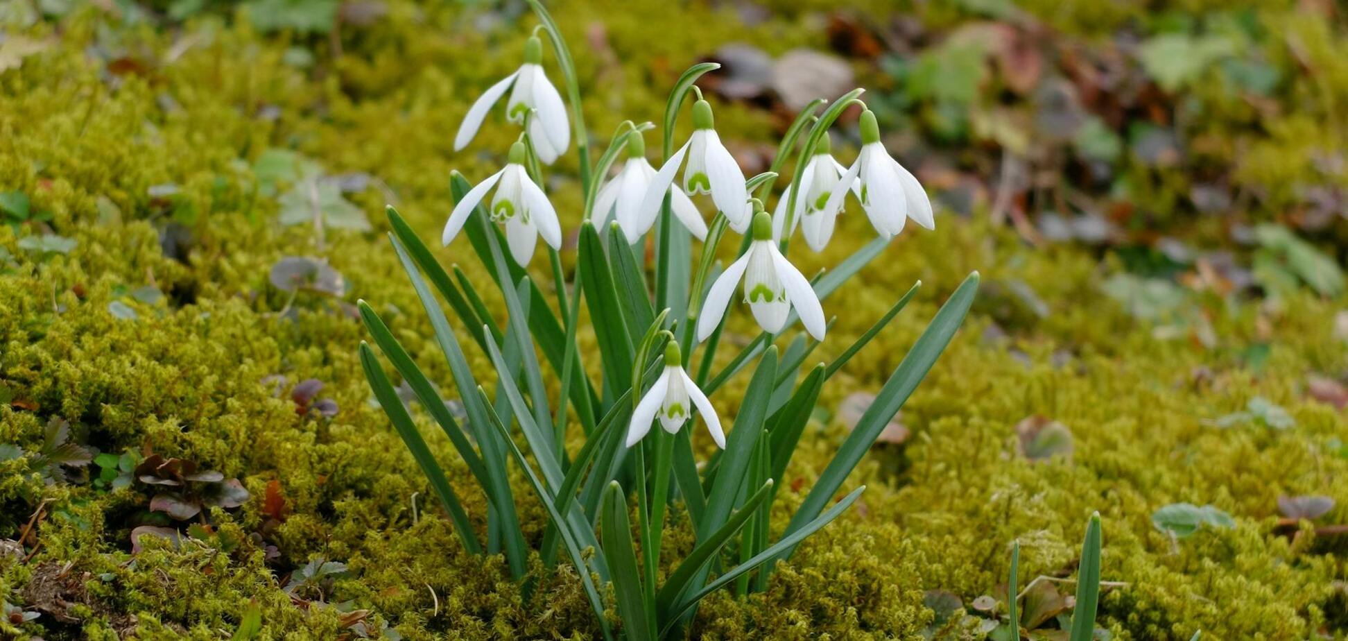 В Украину возвращается тепло: синоптики дали прогноз погоды на пятницу