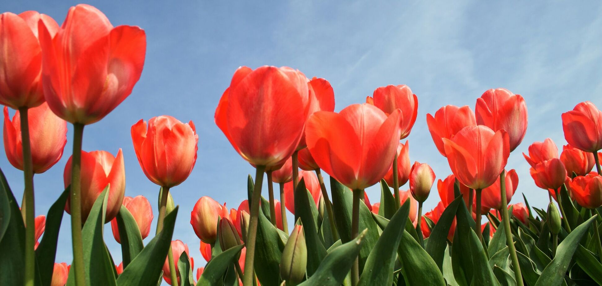 Синоптикиня дала прогноз на п'ятницю і попередила про нову хвилю похолодання: коли чекати. Карта