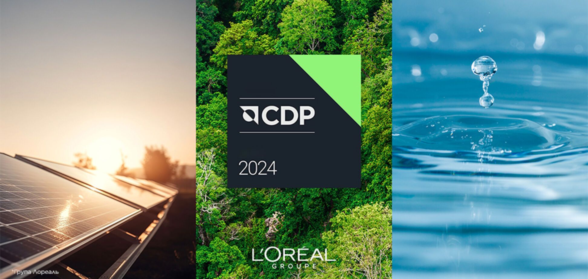 Группа L'Оréal в девятый раз подряд получила самую высокую оценку CDP