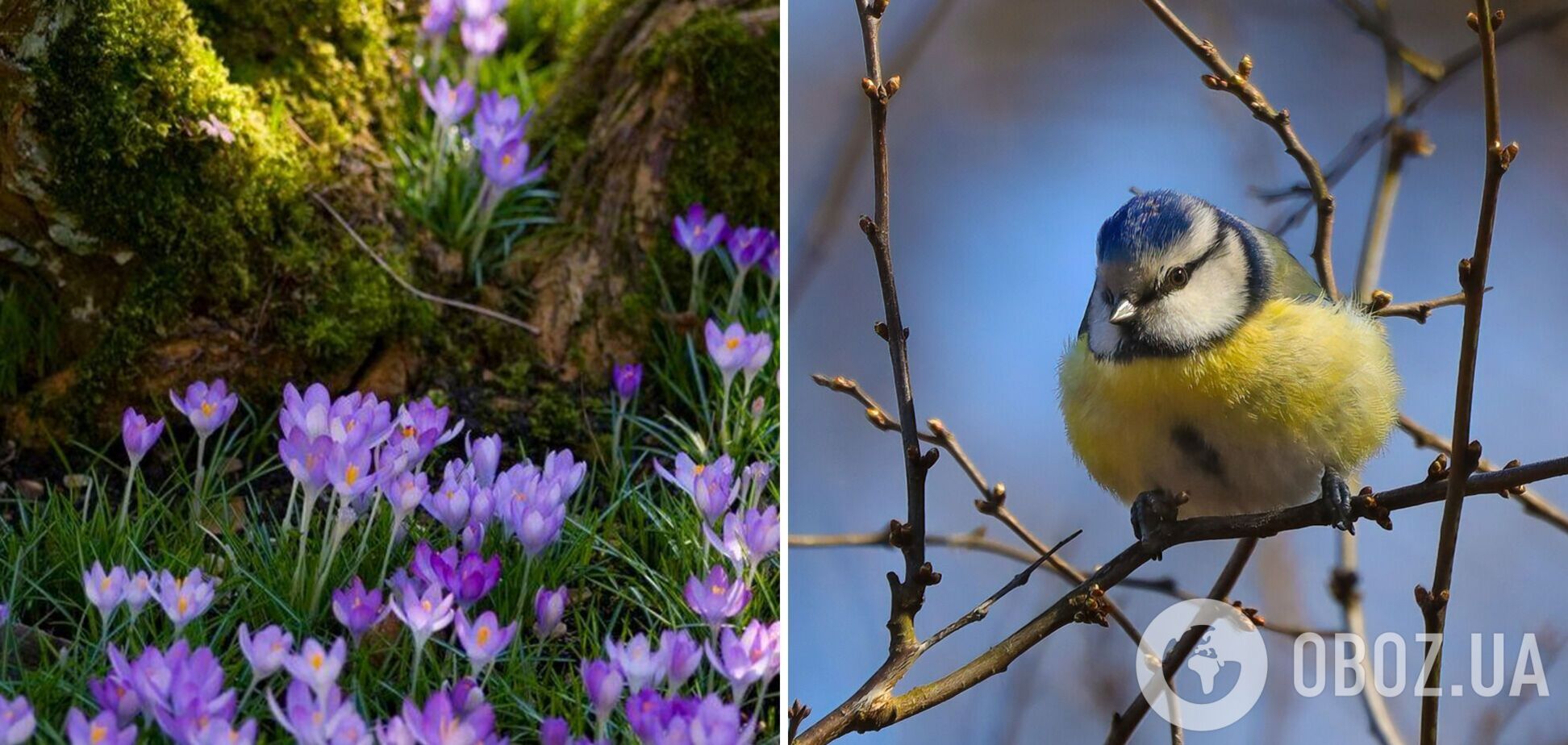Весенние объятия солнца и холодные ночи: каких капризов ждать от погоды 22 марта