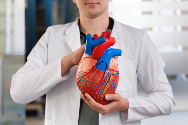 Продли жизнь сердцу: 5 шагов для здоровья