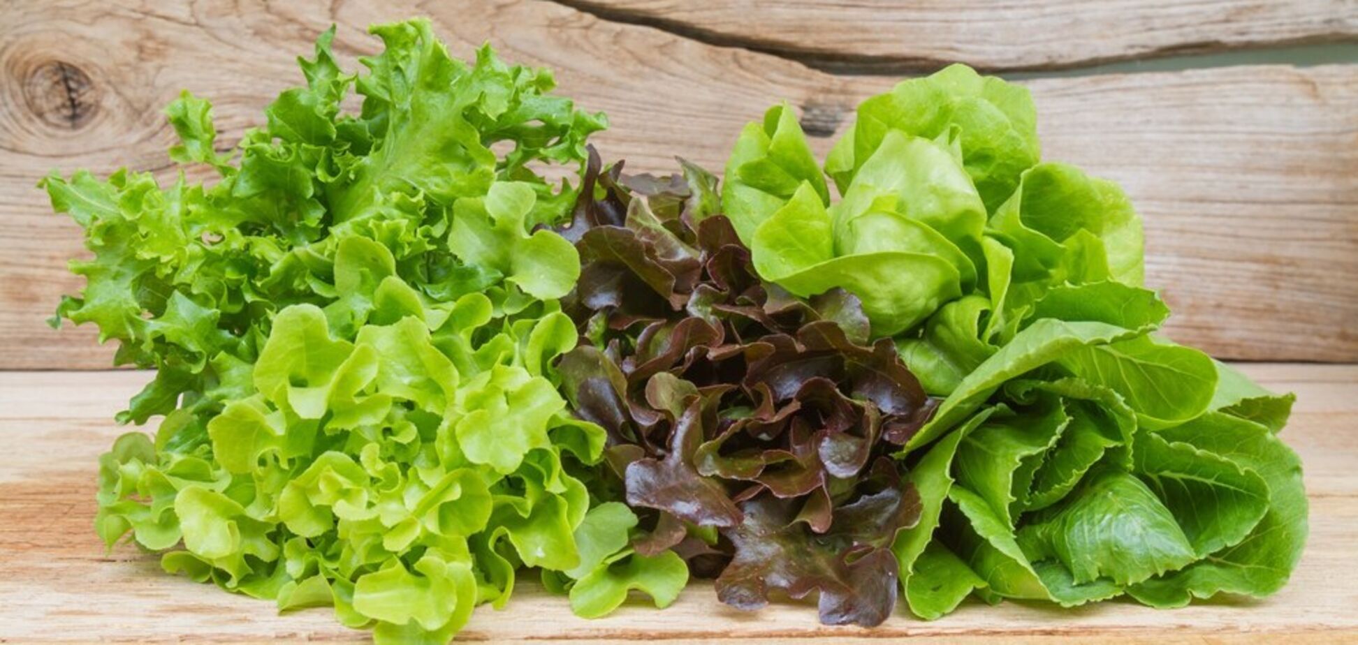 6 листовых овощей, которые следует есть каждый день