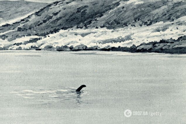 Чудовисько реальне? На озері Лох-Несс зафіксували таємничу 'істоту'
